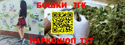 Альфа ПВП Малгобек